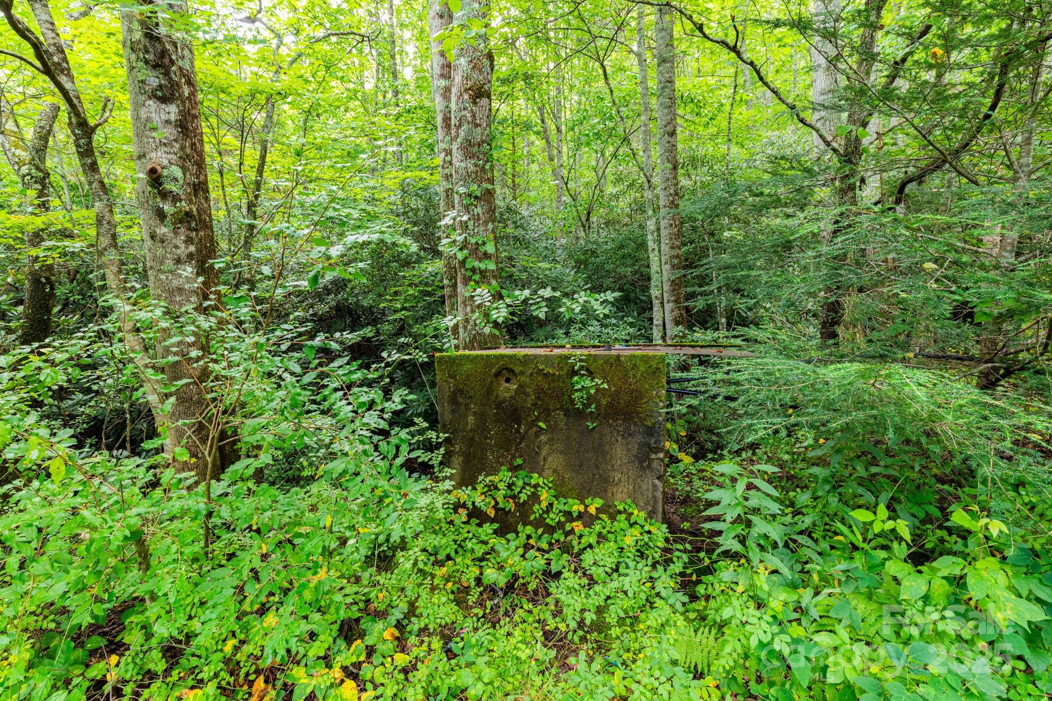99999 Rock Creek Road