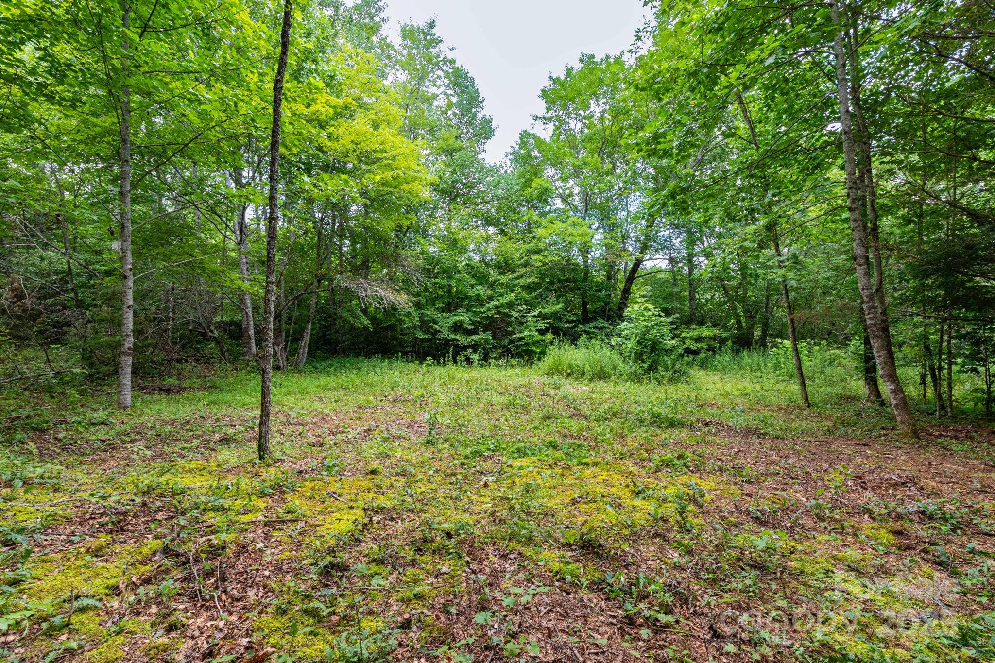 99999 Rock Creek Road