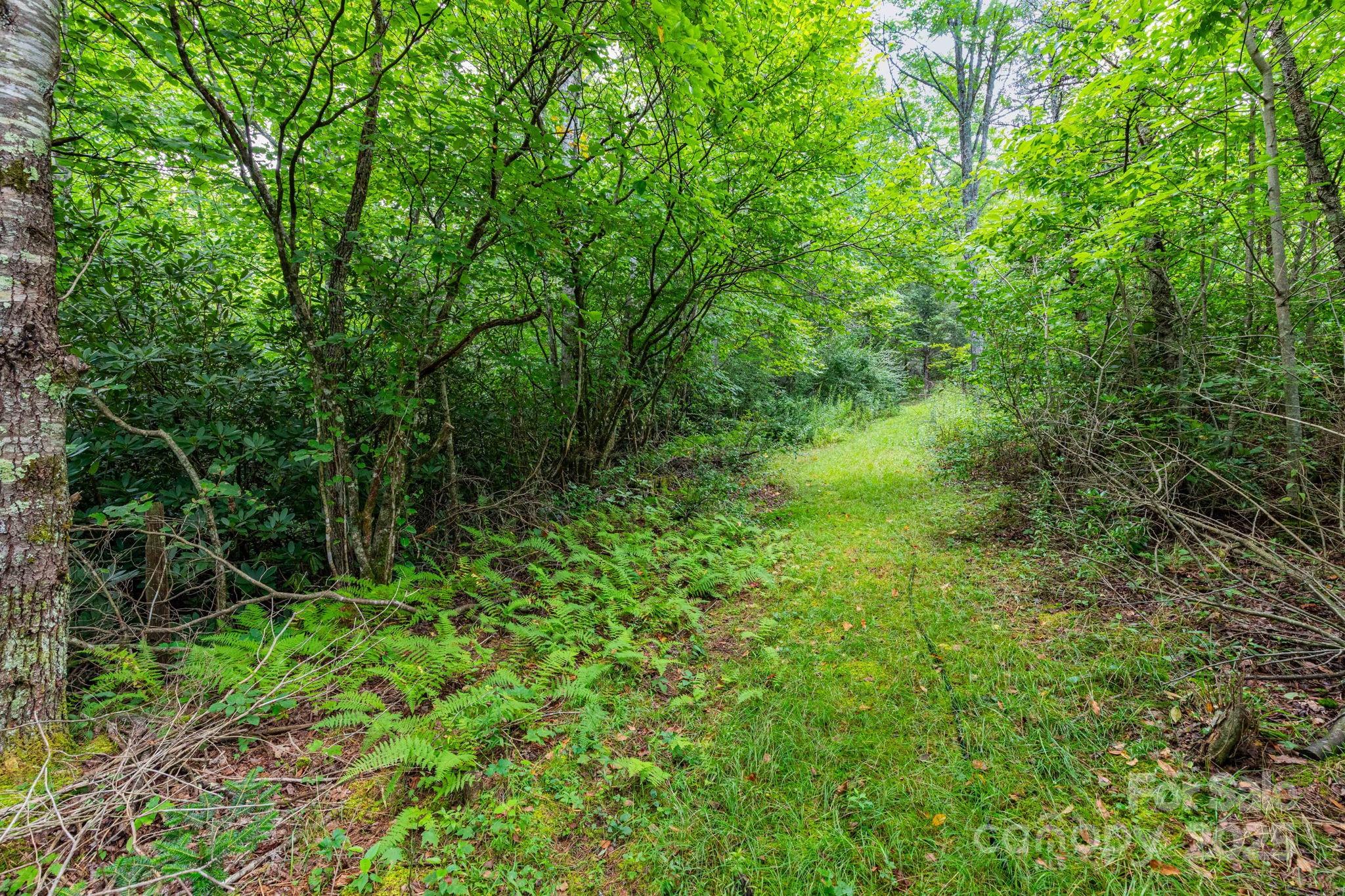 99999 Rock Creek Road
