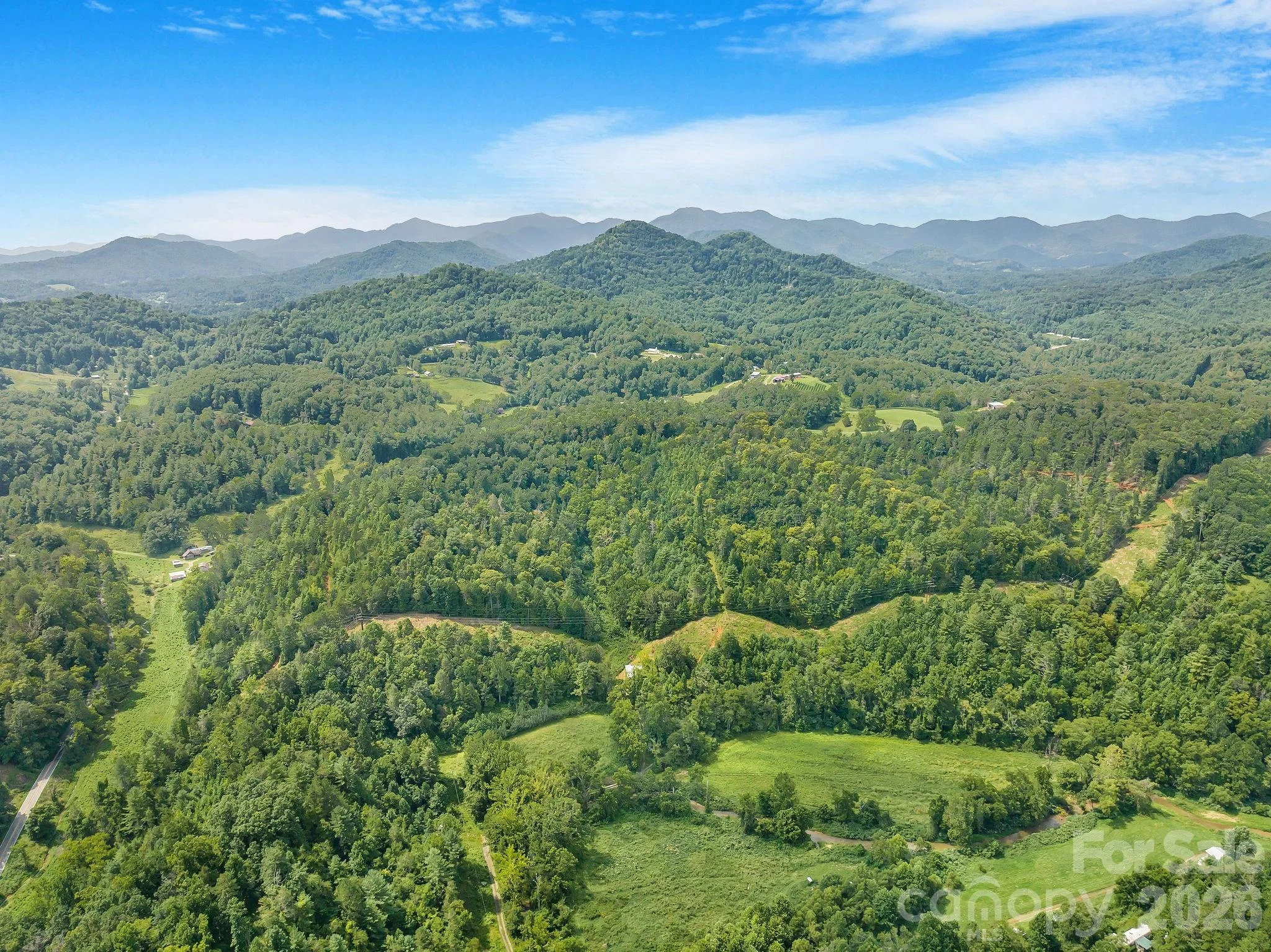 99999 Meadows Town Road, Leicester, NC, 28748