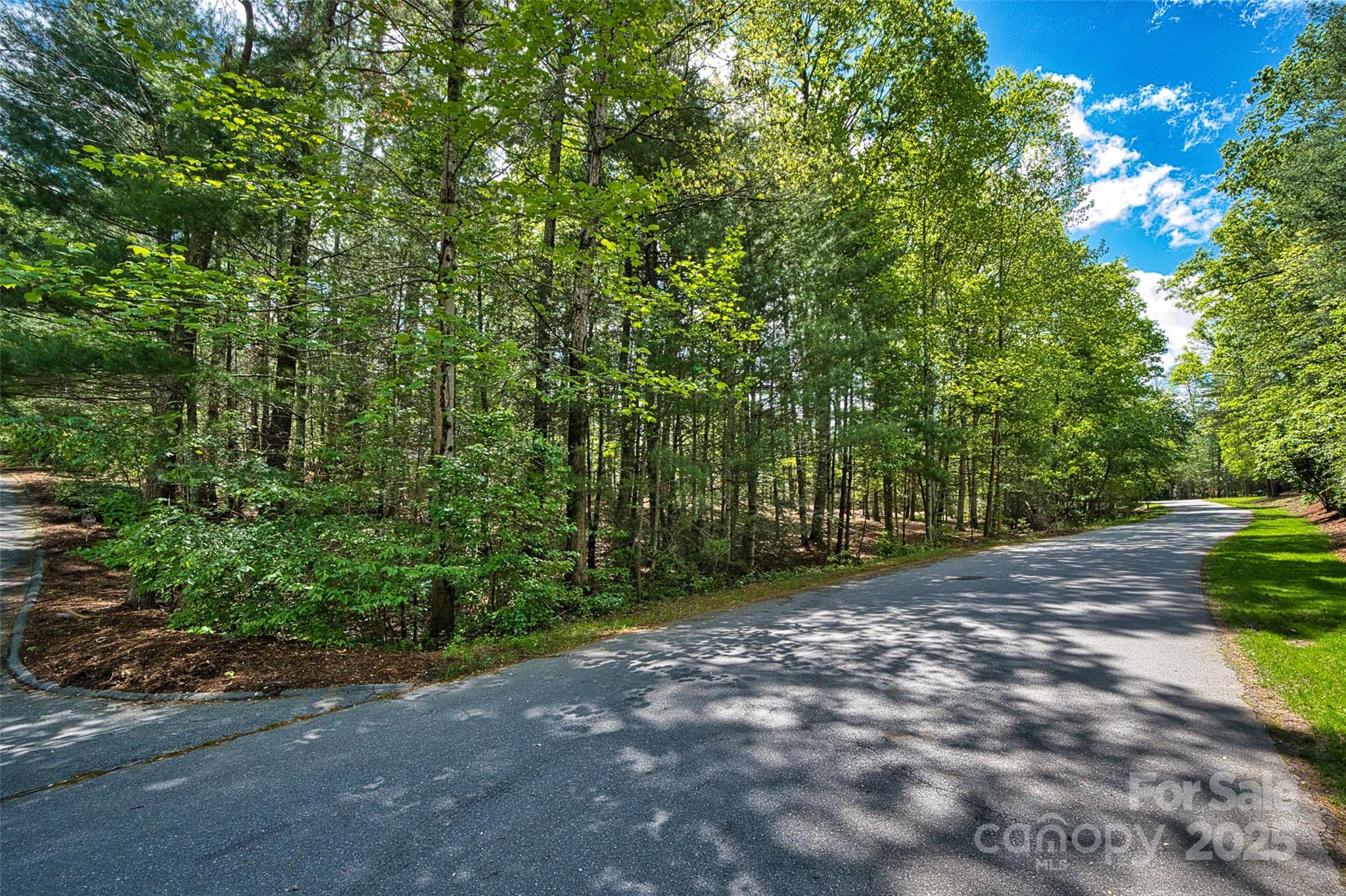0000 Fir Tree Lane