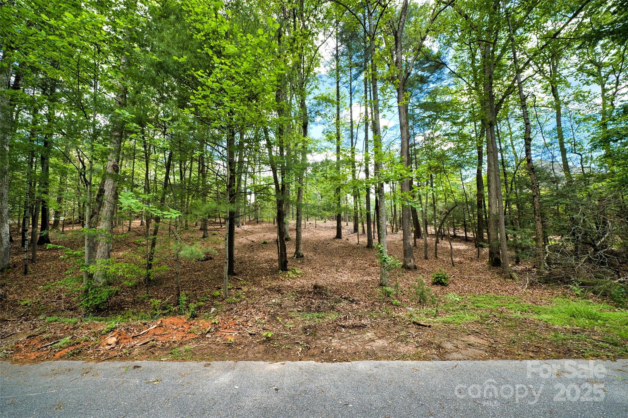 0000 Fir Tree Lane