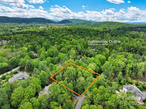 0000 Fir Tree Lane Asheville NC 28803