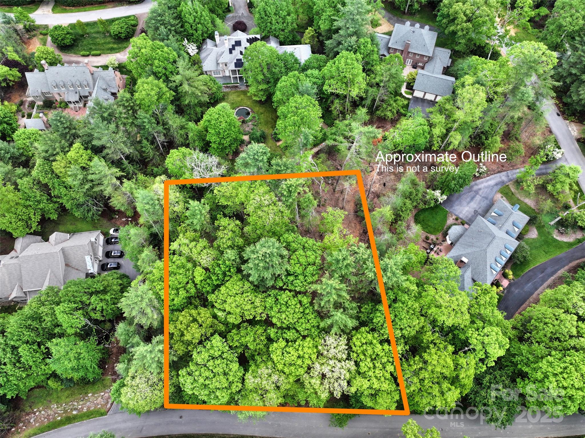 0000 Fir Tree Lane