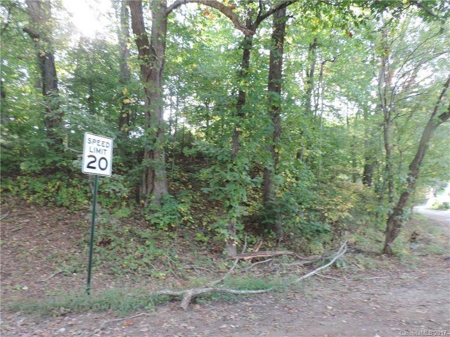 In town lot with access to city water and sewer. This lot can have a manufactured(doublewide), modular or site built home, with town approval. Very close and conveniently located to downtown Waynesville.