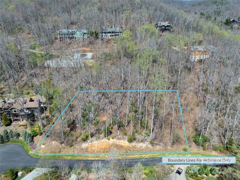 29 Red Tail Court 506 Fairview NC 28730