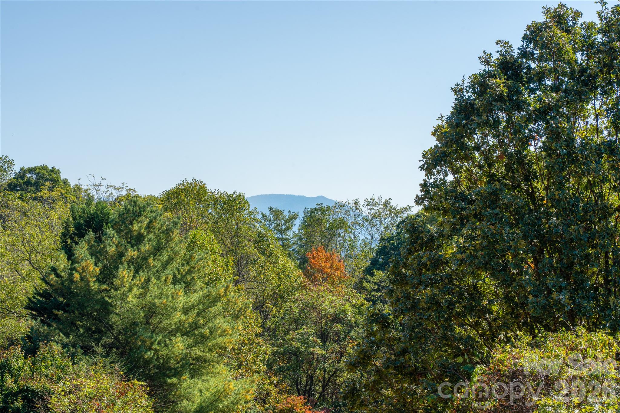 117 Spivey Mountain Road