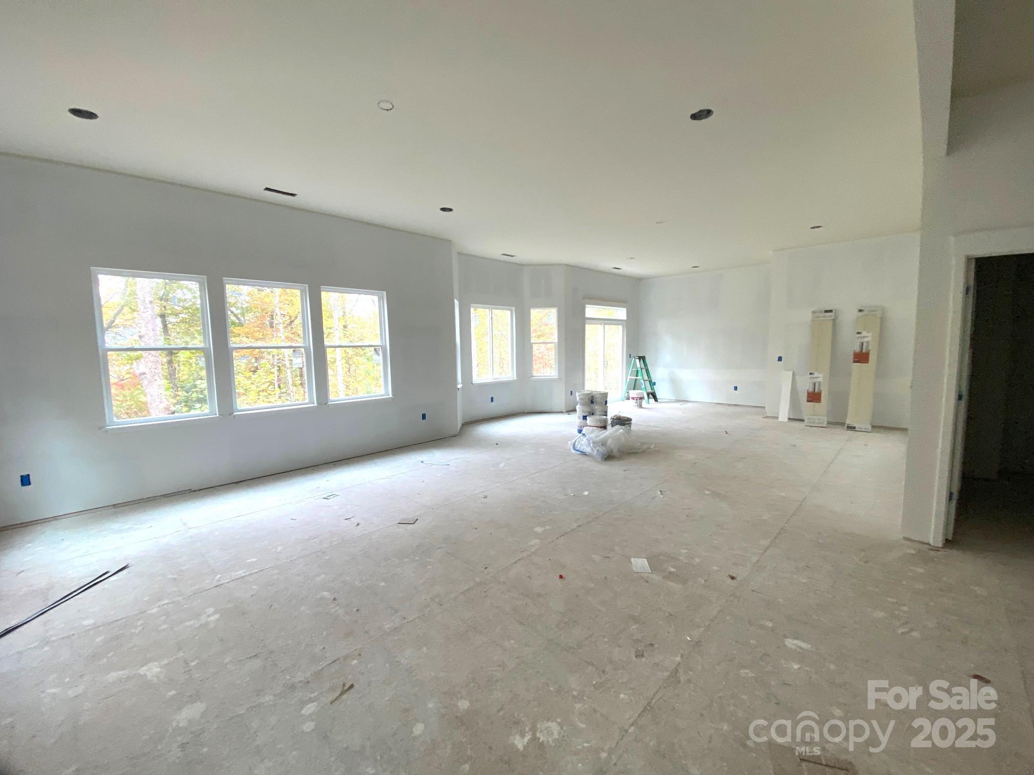 296 Carriage Summitt Way