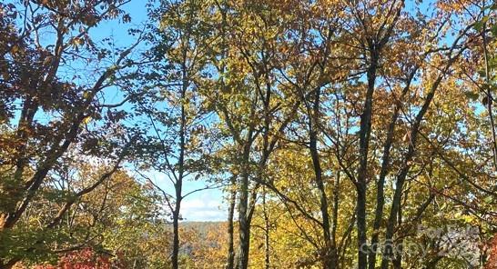 296 Carriage Summitt Way