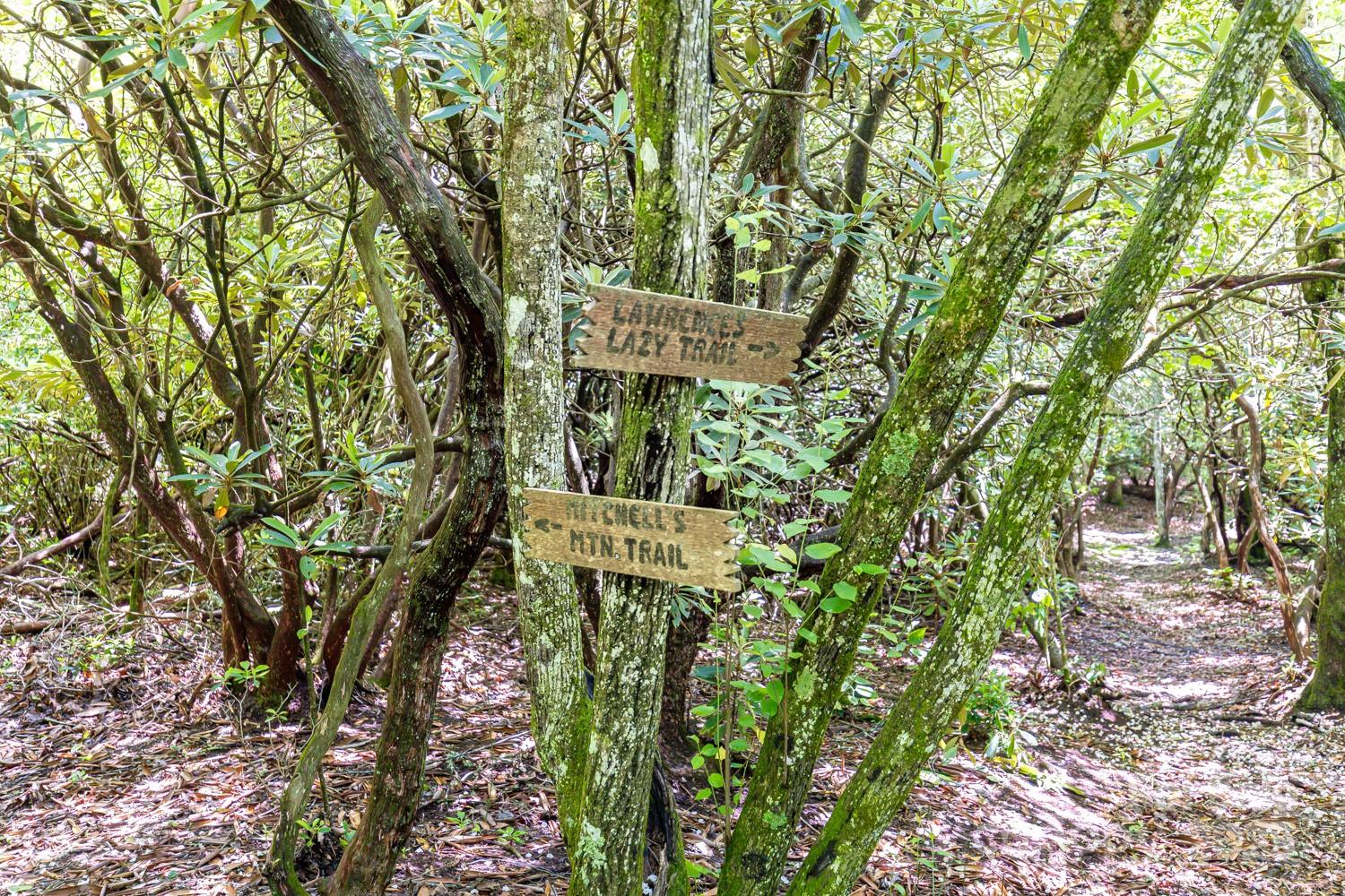 Toms Creek - Residential Income