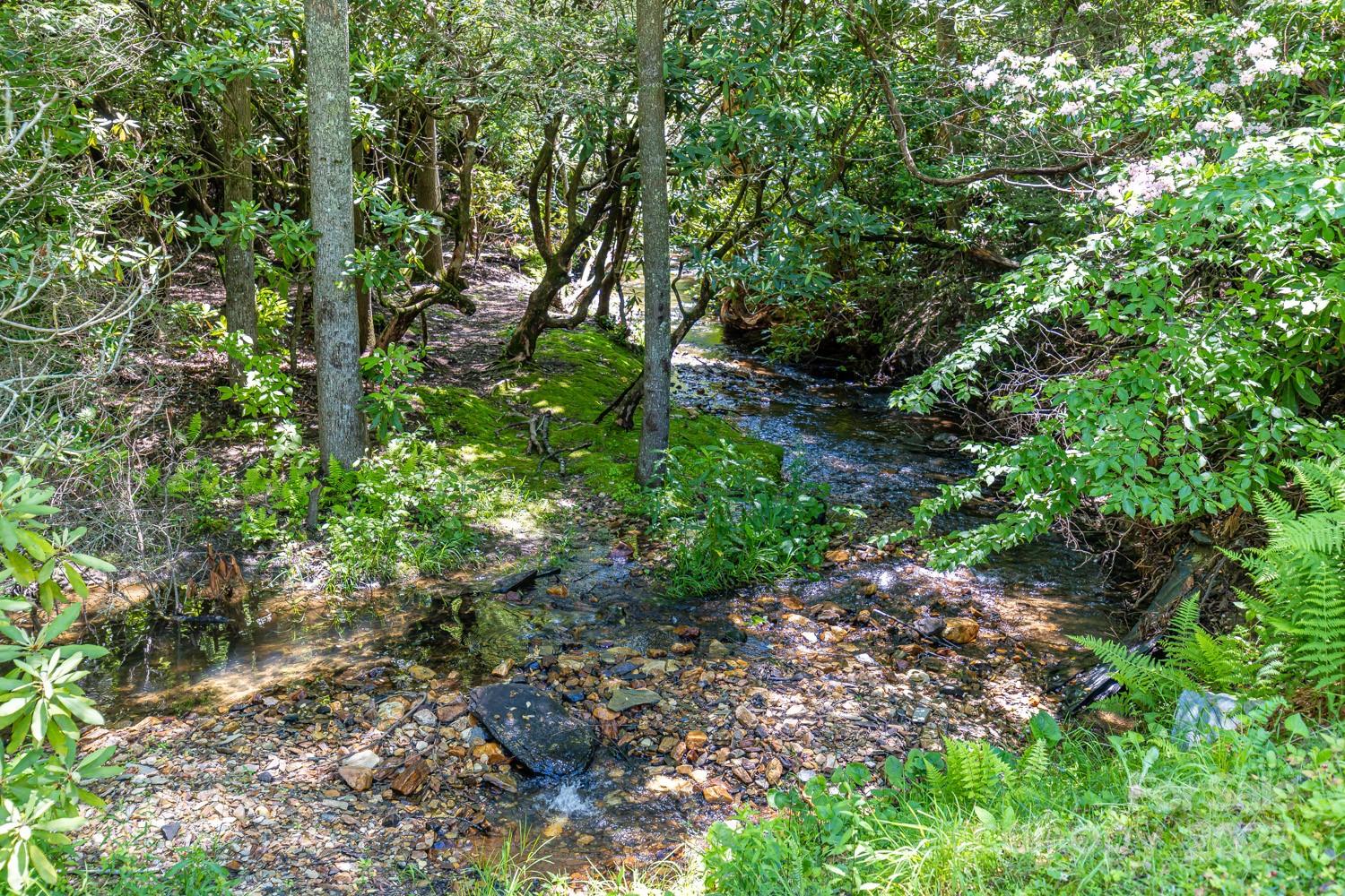 Toms Creek - Residential Income