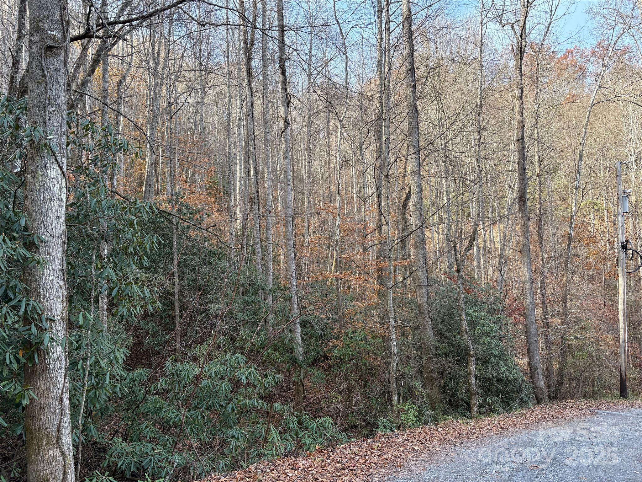 High Top Mountain - Land