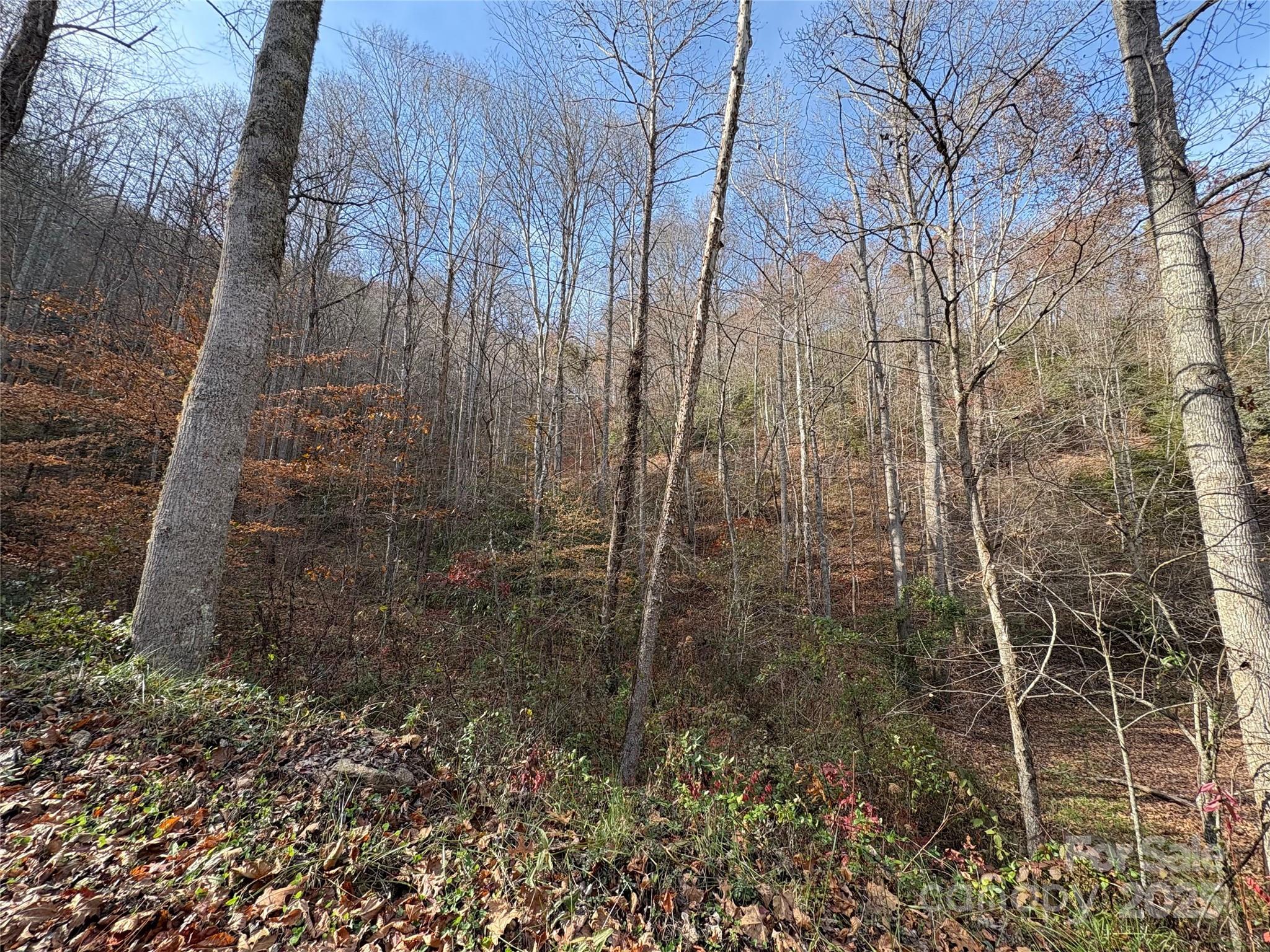 High Top Mountain - Land