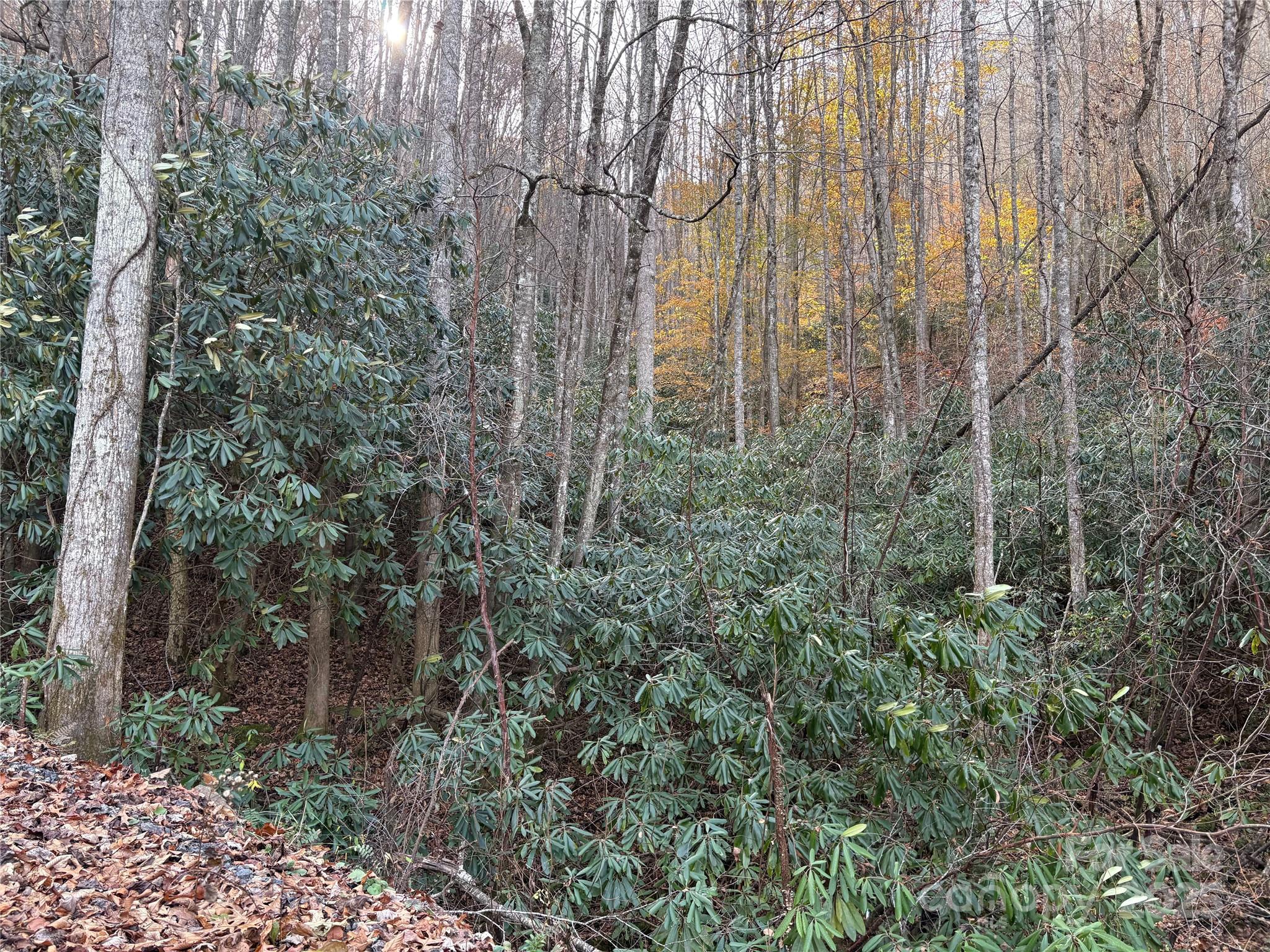 High Top Mountain - Land