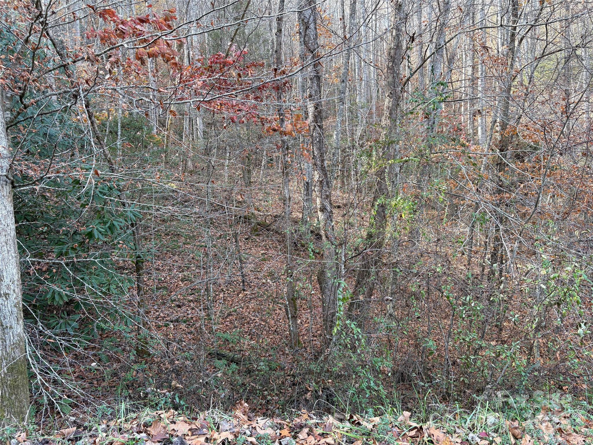 High Top Mountain - Land