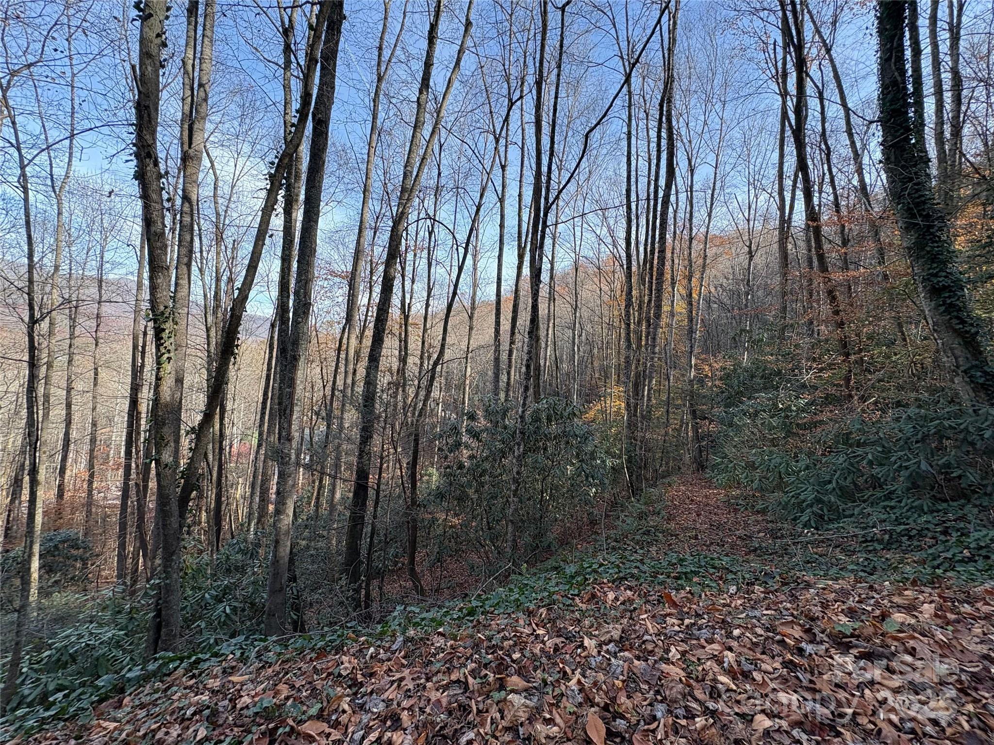 High Top Mountain - Land