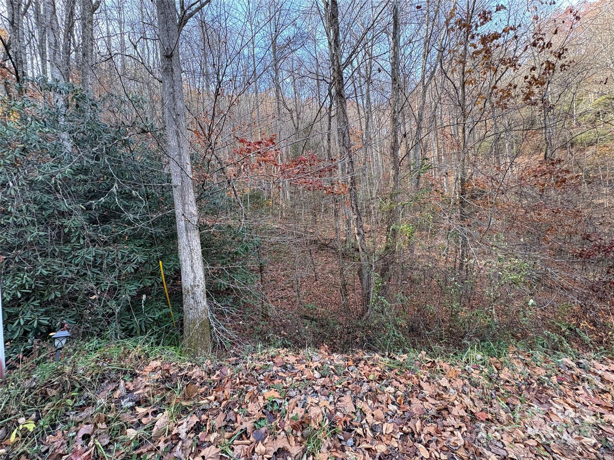 High Top Mountain - Land