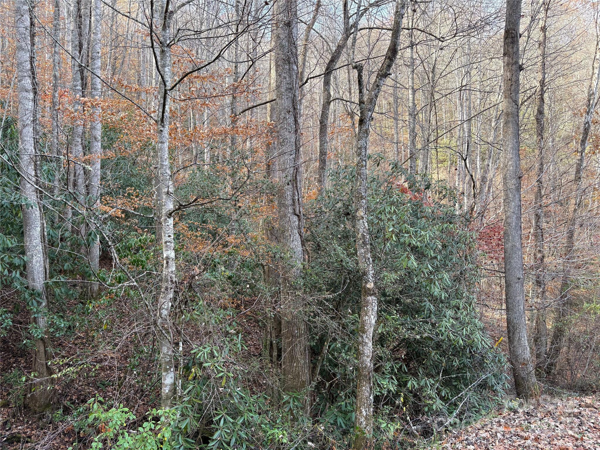 High Top Mountain - Land