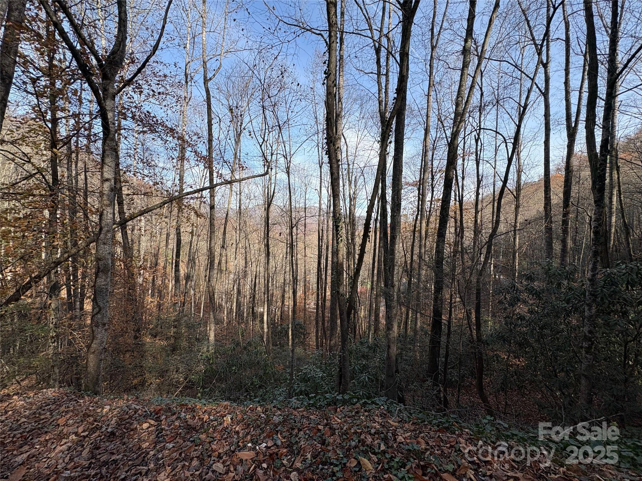 High Top Mountain - Land