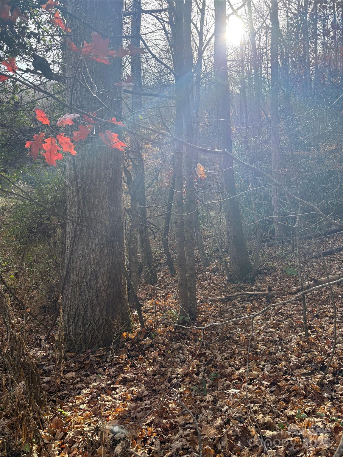 TR 6 Little Bit Trail