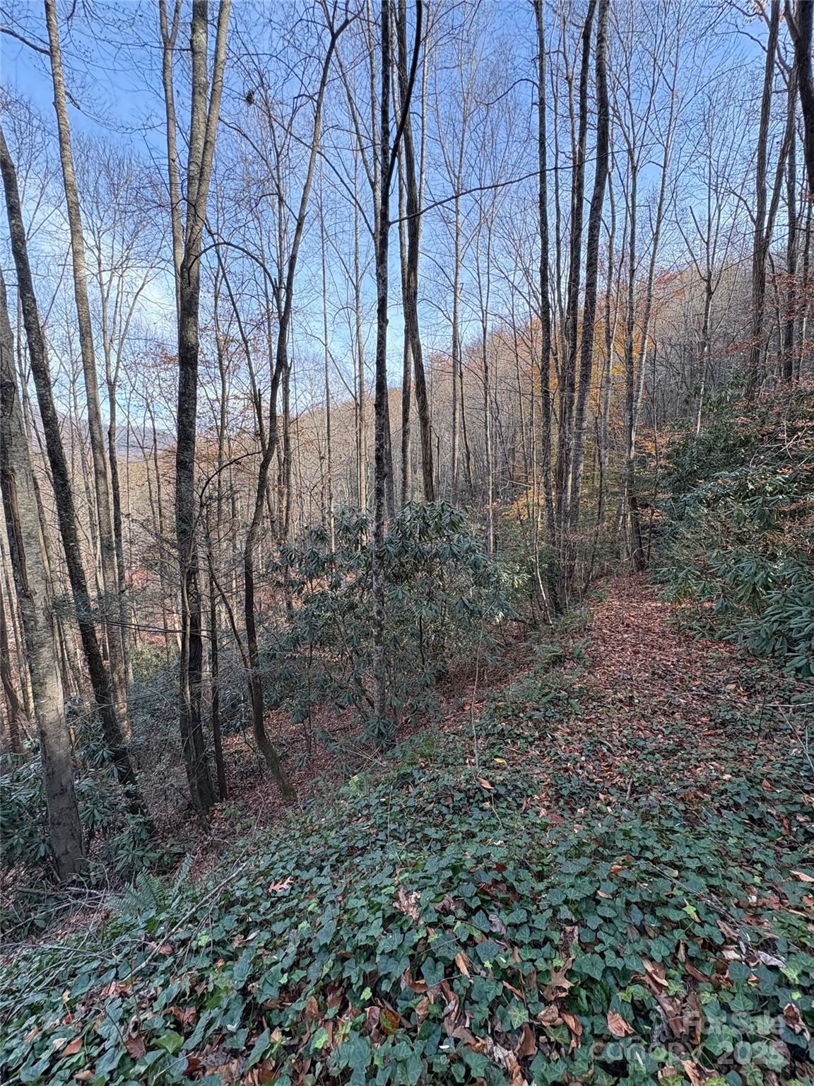 High Top Mountain - Land