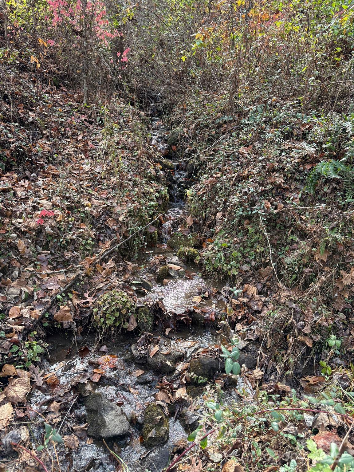 TR 6 Little Bit Trail