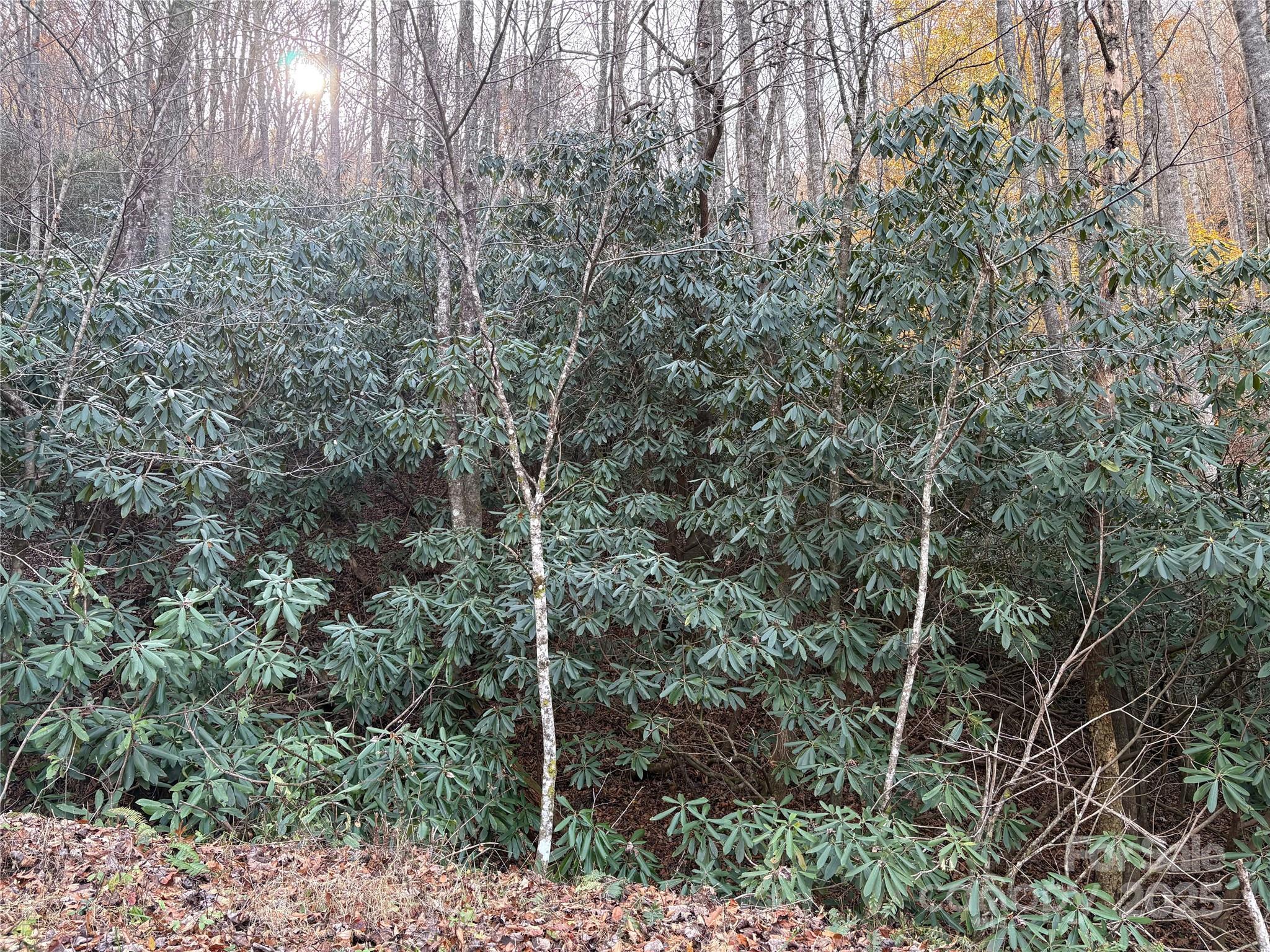 High Top Mountain - Land