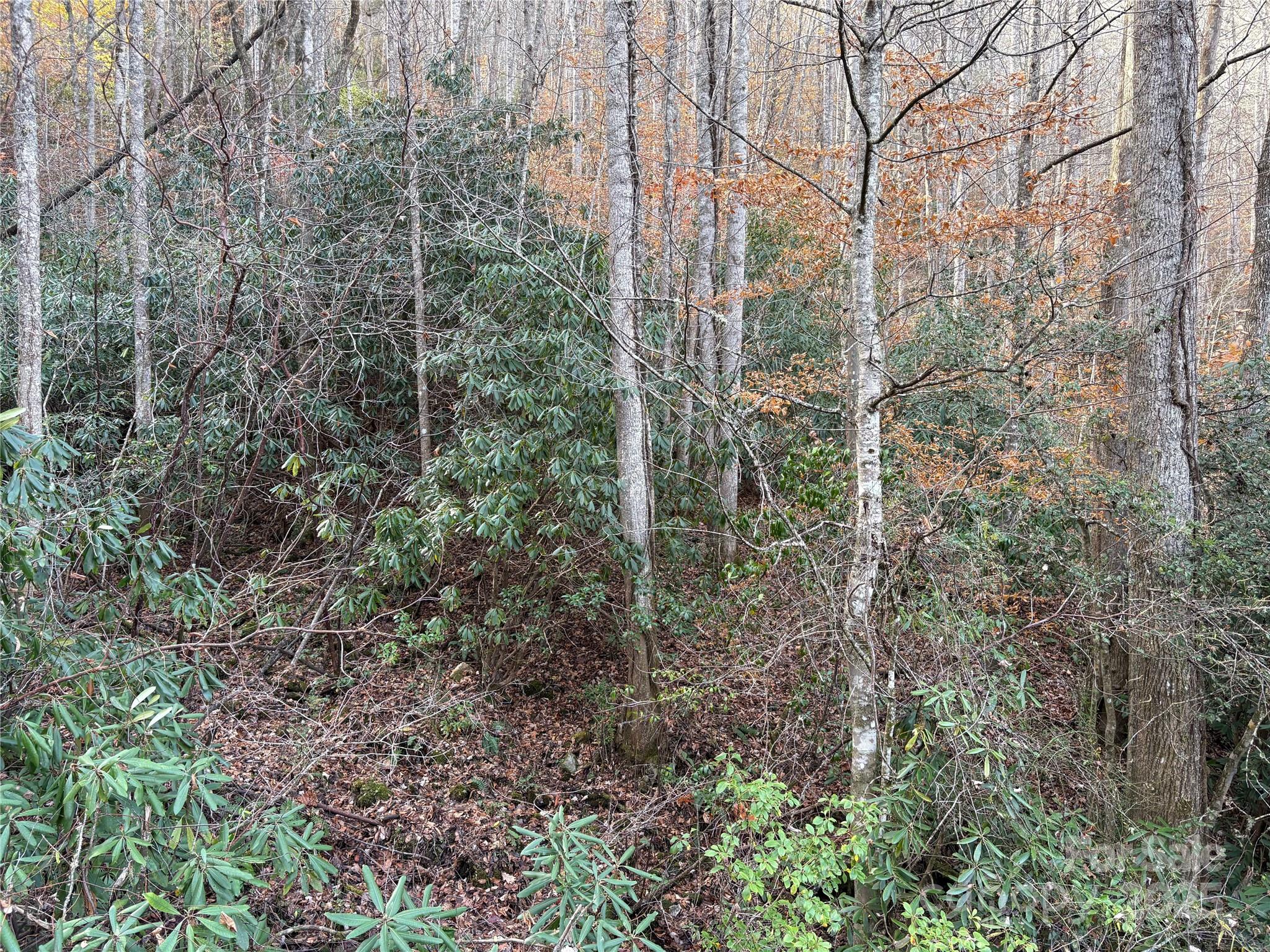 High Top Mountain - Land