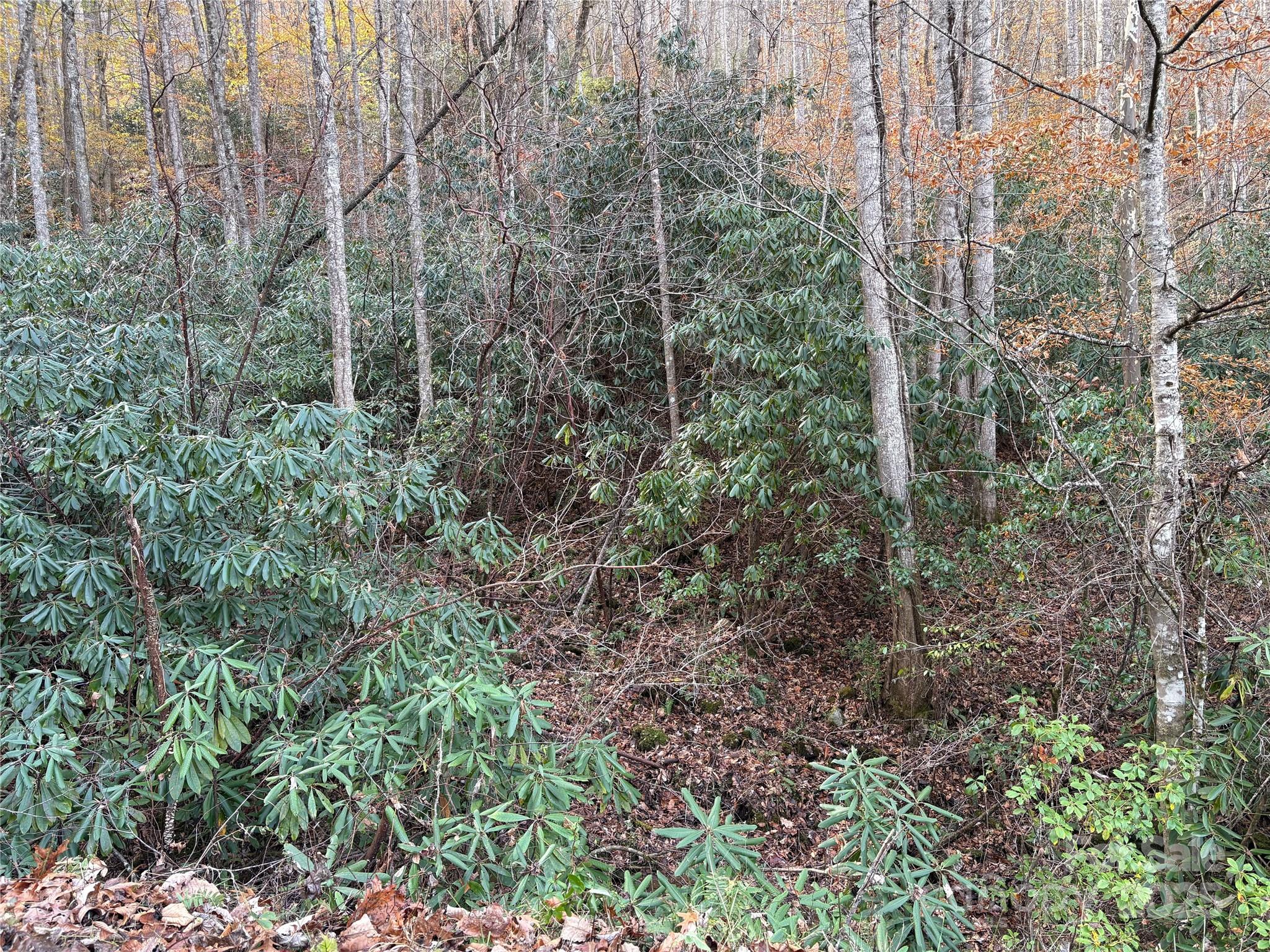 High Top Mountain - Land