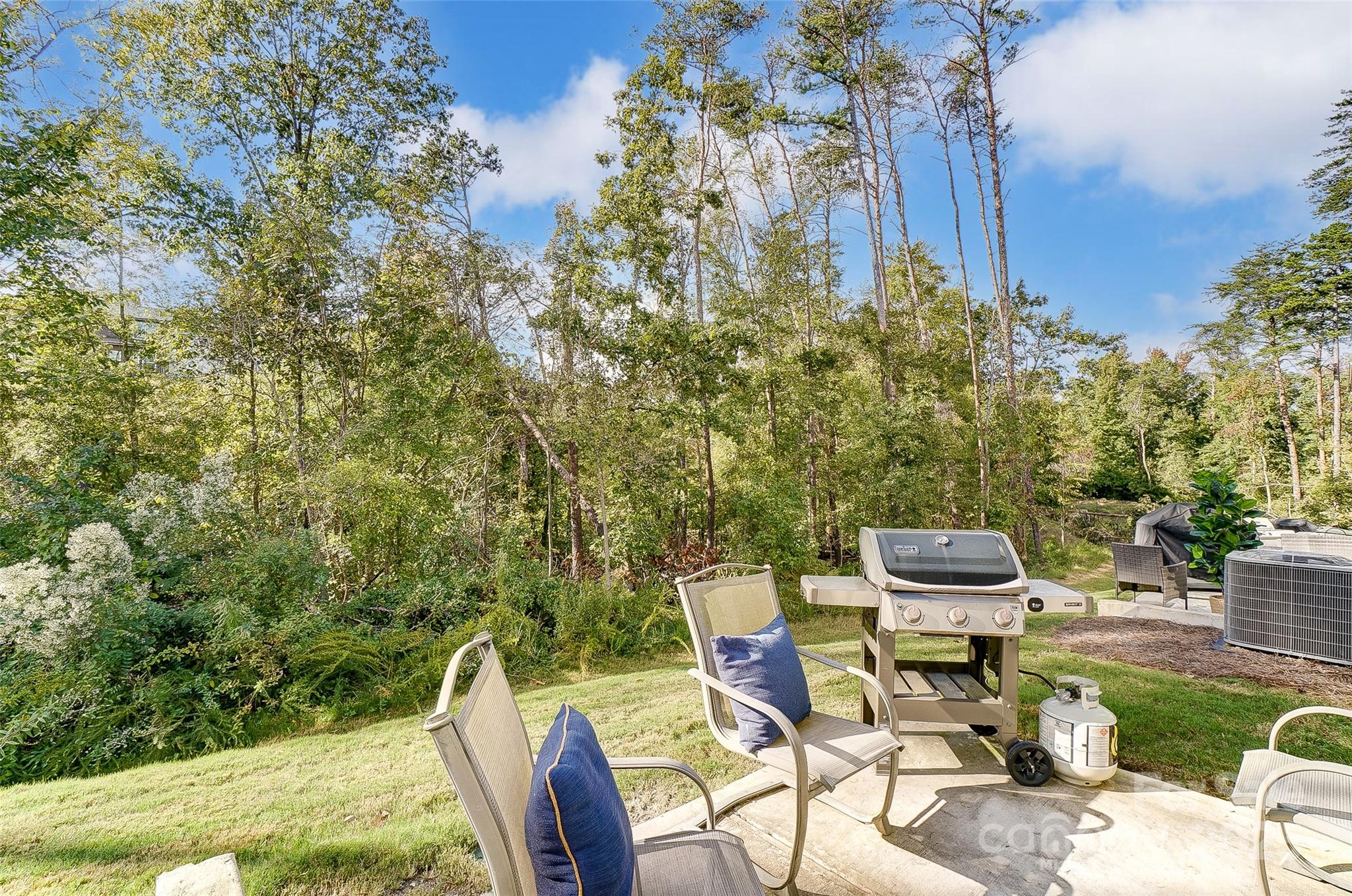 Colony at Handsmill - Residential