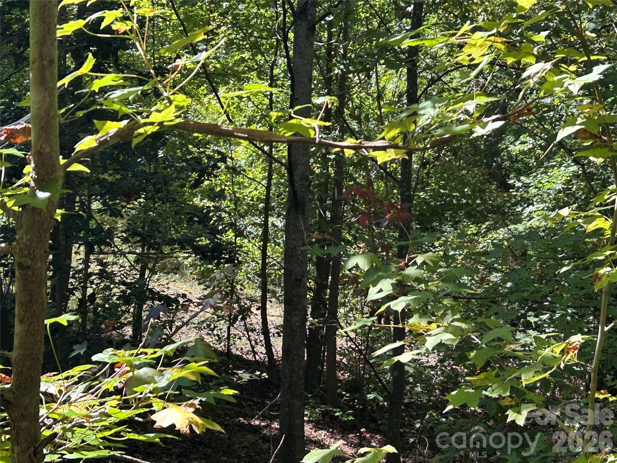 168 Robinwood Trail
