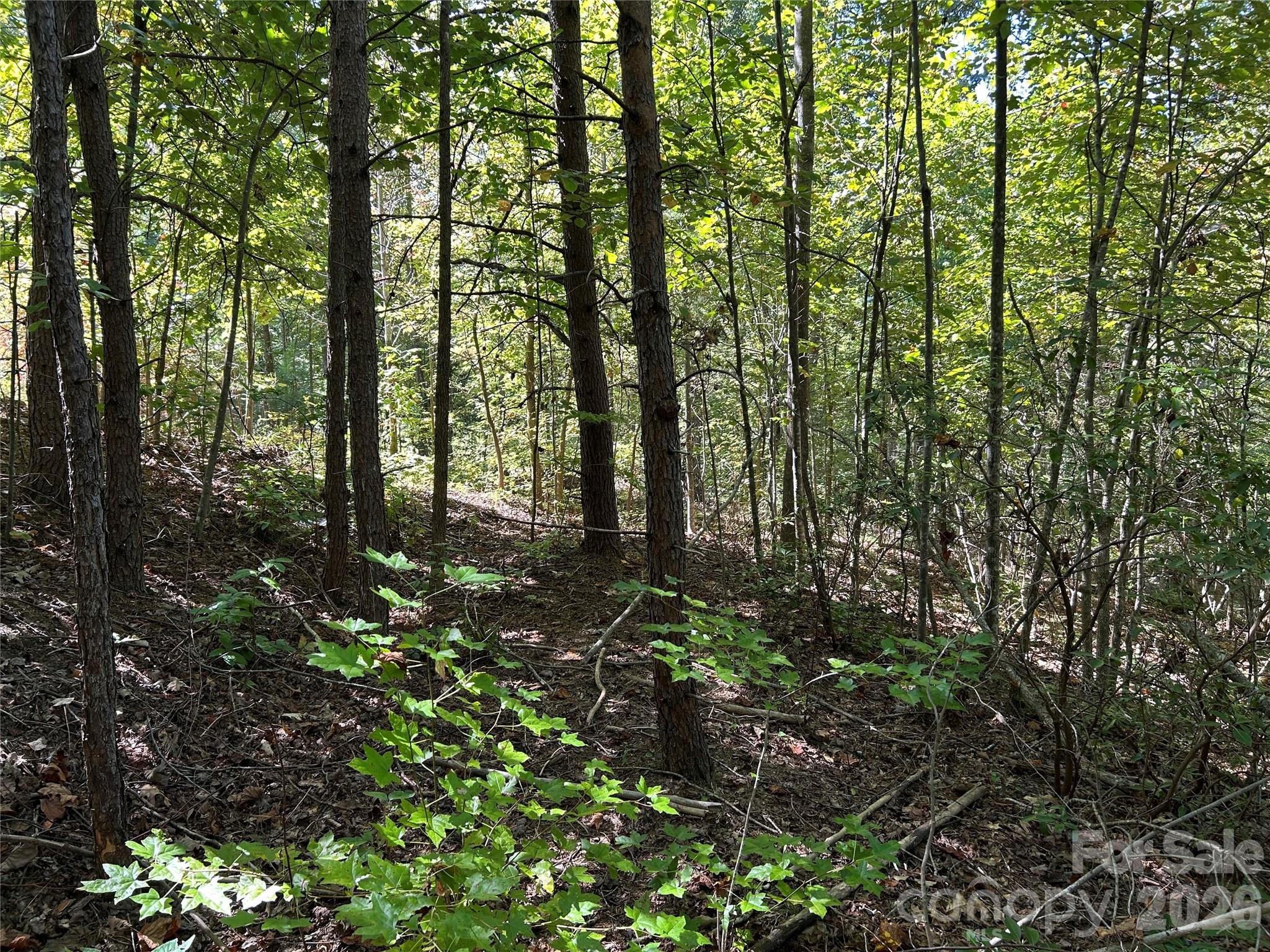 168 Robinwood Trail
