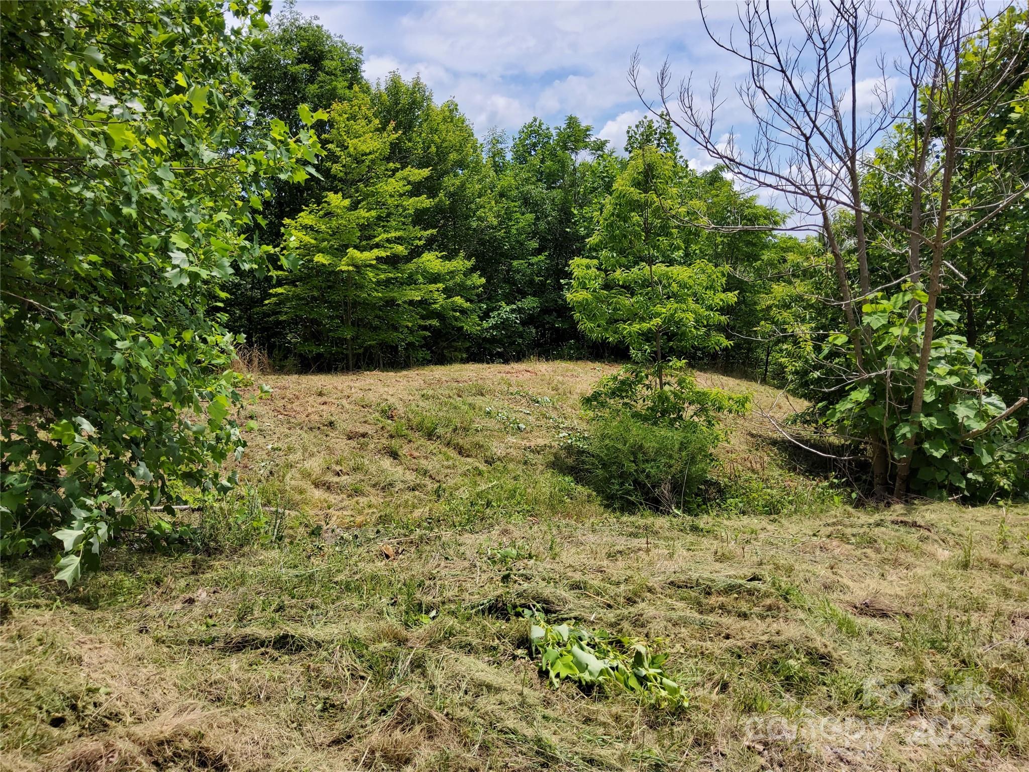 Highlands of Lake Lure - Land