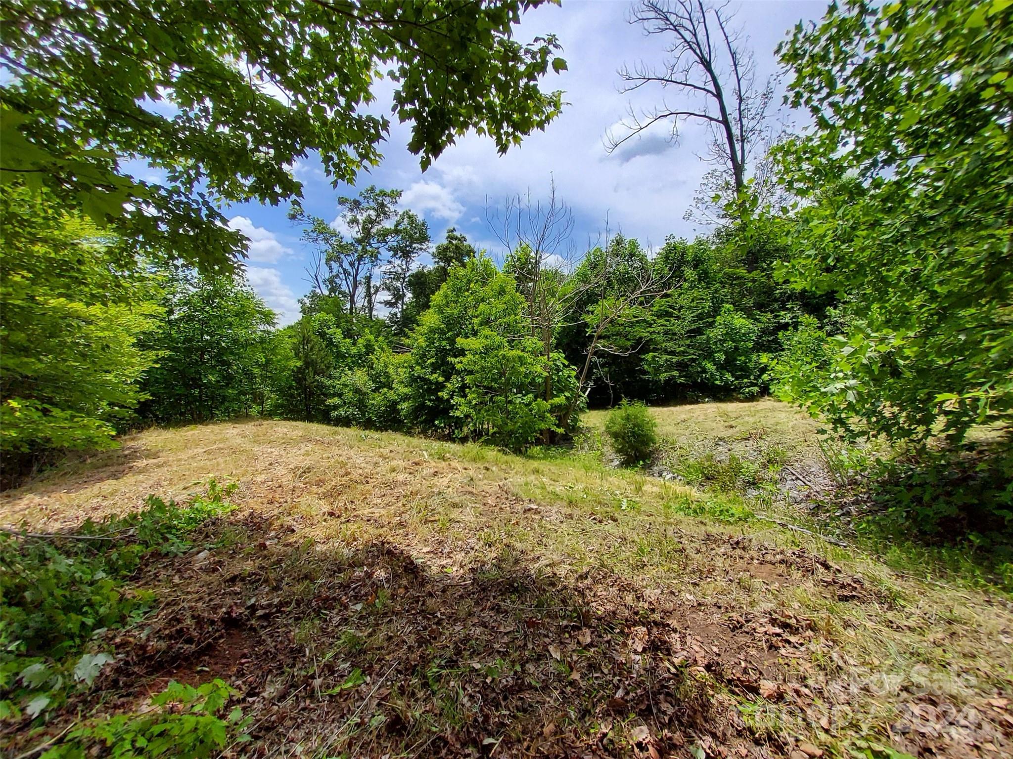 Highlands of Lake Lure - Land