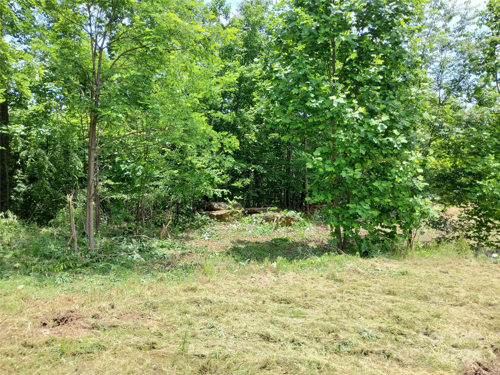 Highlands of Lake Lure - Land