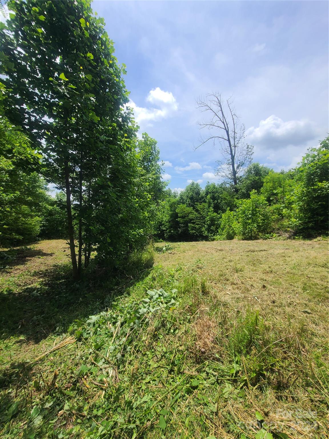 Highlands of Lake Lure - Land
