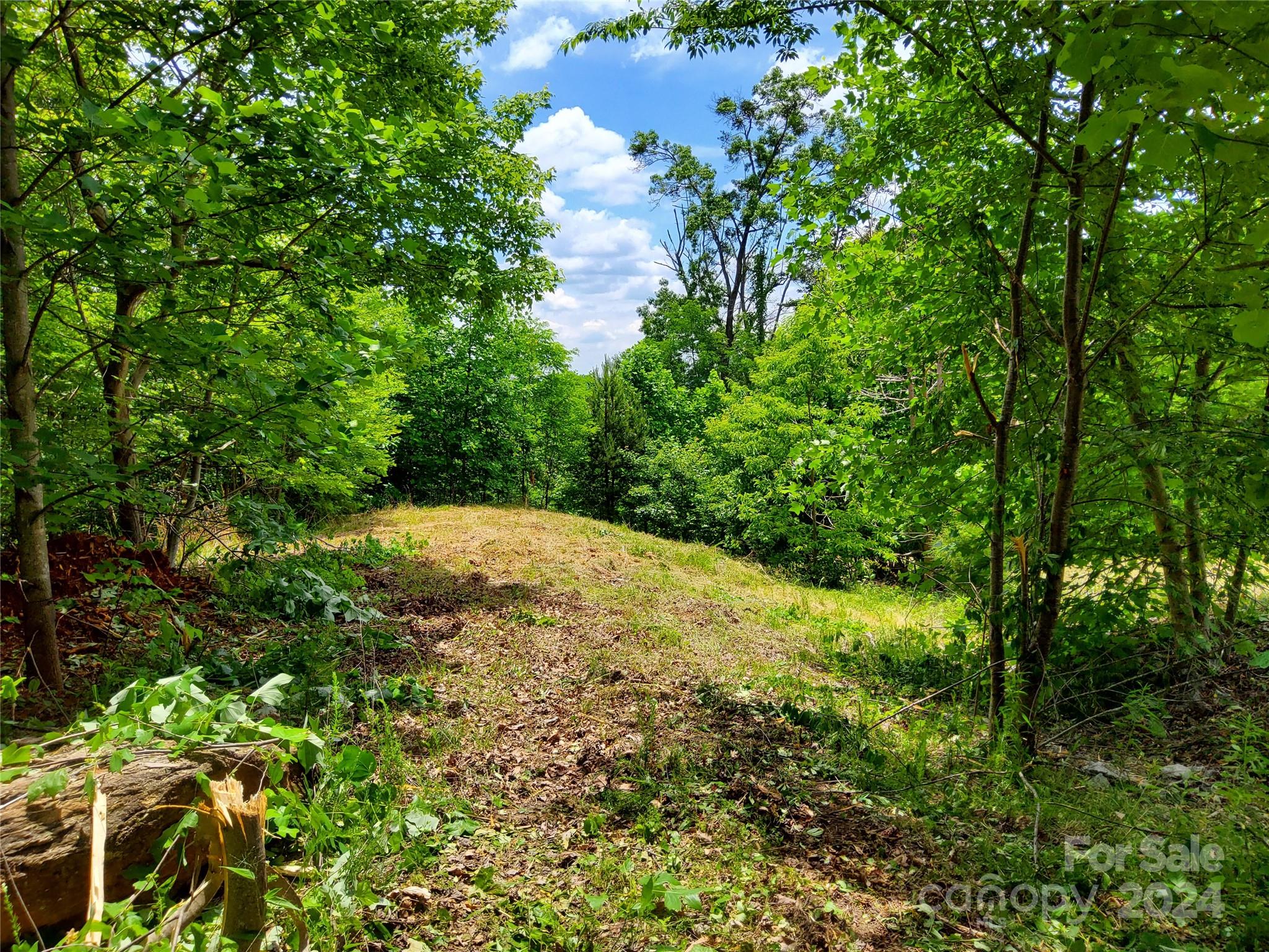Highlands of Lake Lure - Land