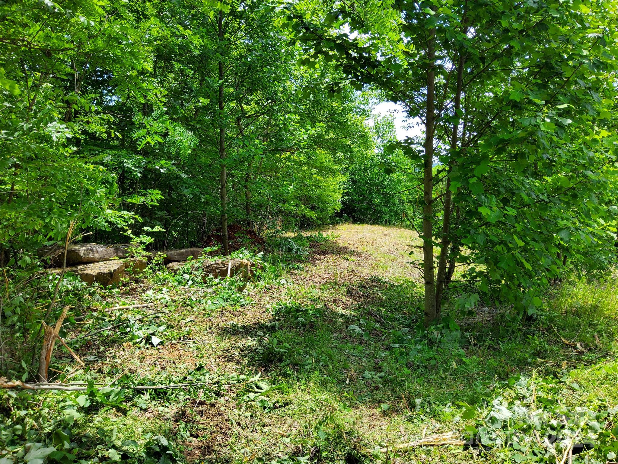 Highlands of Lake Lure - Land