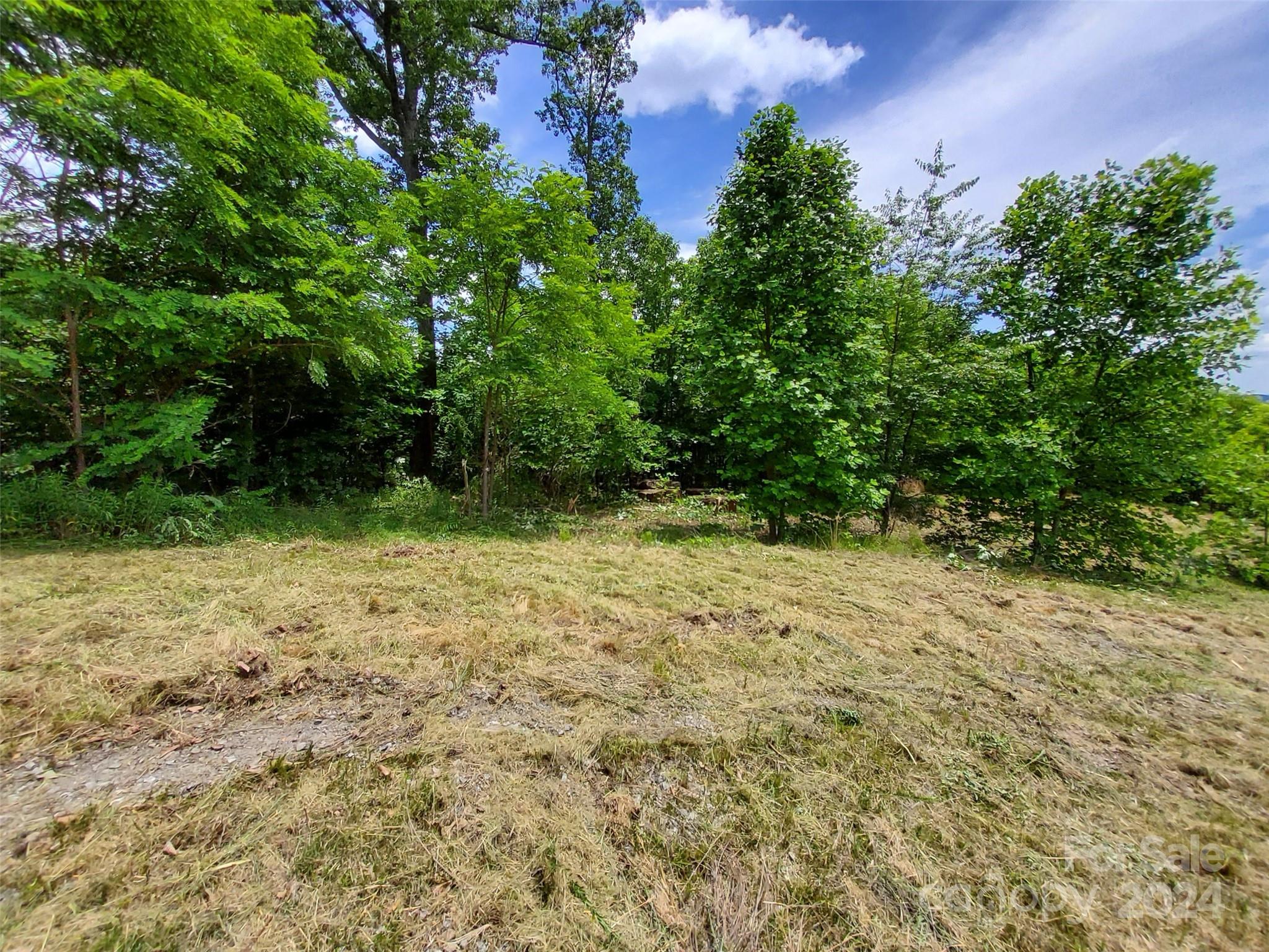 Highlands of Lake Lure - Land