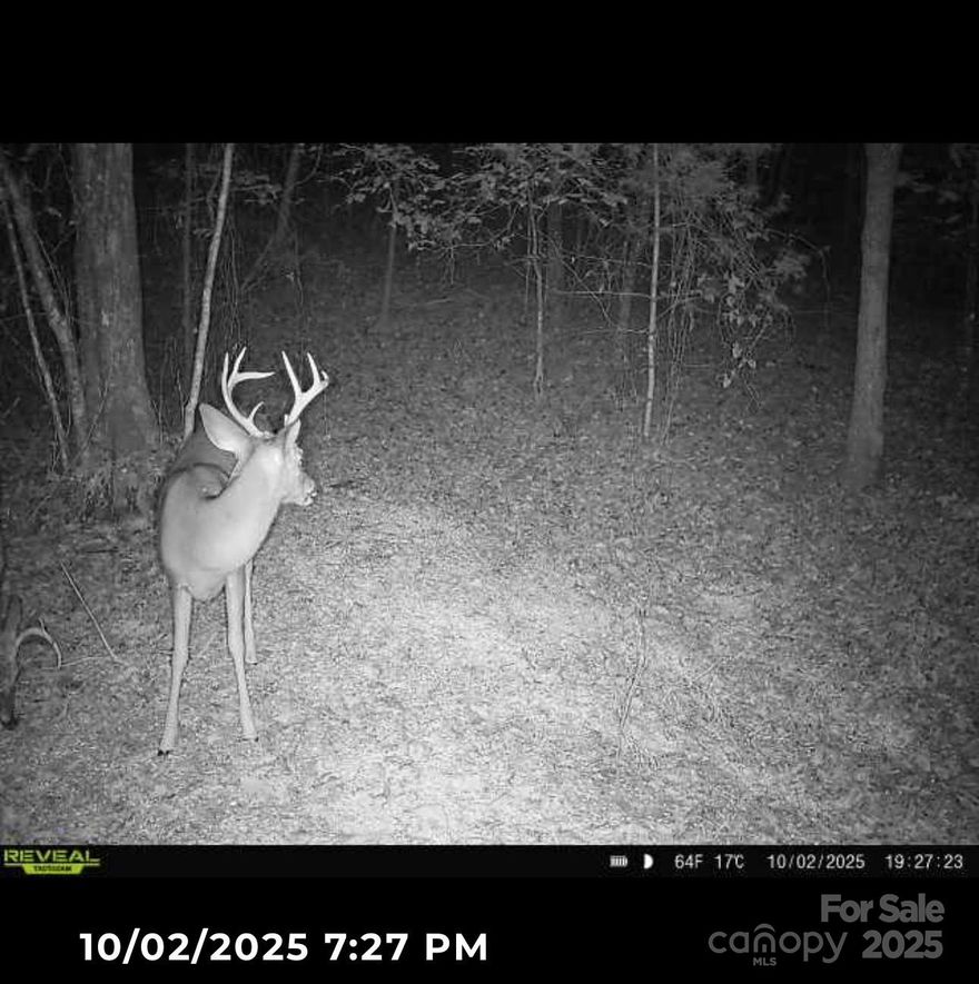 Hunter’s Paradise in the Western NC Foothills – 110+ Acres of Unrestricted Land!

Welcome to your perfect getaway or investment opportunity! This rare find offers 110.35± acres of undeveloped, unrestricted land in the scenic foothills of Western North Carolina. Whether you're looking for a private hunting retreat, a future homesite, or a development opportunity – this property has it all.

Property Highlights:

Two tracts totaling 110.35± acres

Road frontage on Pinnacle Church Road

Easy access to Highway 226 South and Interstate 40

Convenient location:

40 minutes to Asheville

30 minutes to Hickory

1 hour 20 minutes to Charlotte Douglas International Airport

A small creek runs through part of the property

Gently rolling terrain with multiple potential homesites

Ideal for:

Hunting & recreation

Tiny home, mobile home, or barndominium

Building your dream home

Developing a campground or mobile home park

Subdividing into residential lots (seller open to selling smaller tracts)

Why This Property?

Large tracts like this are getting harder to find — especially ones that offer such versatility and easy access to major cities and highways. Whether you're a developer, investor, or outdoor enthusiast, this land offers endless possibilities.

 Contact the listing agent today for more information or to schedule a private tour.