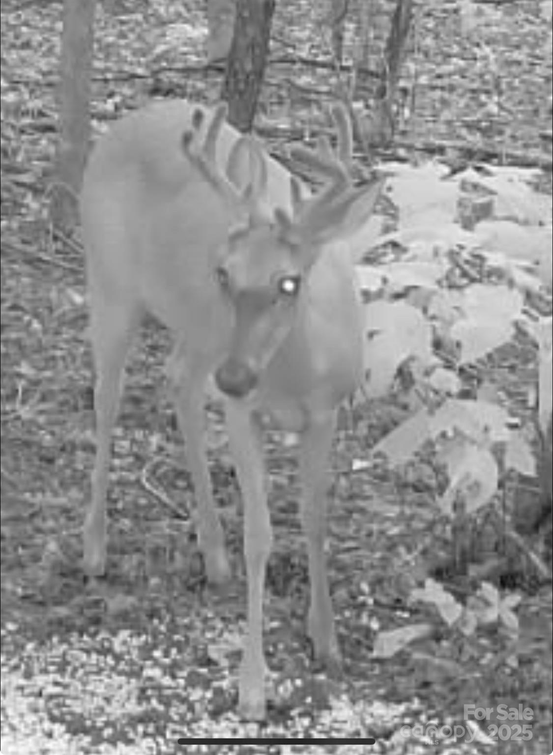 V/L Pinnacle Church Road