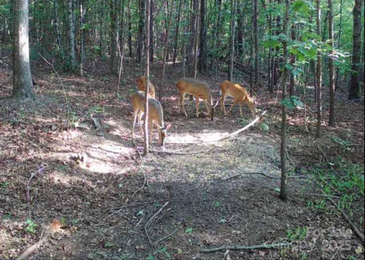 V/L Pinnacle Church Road