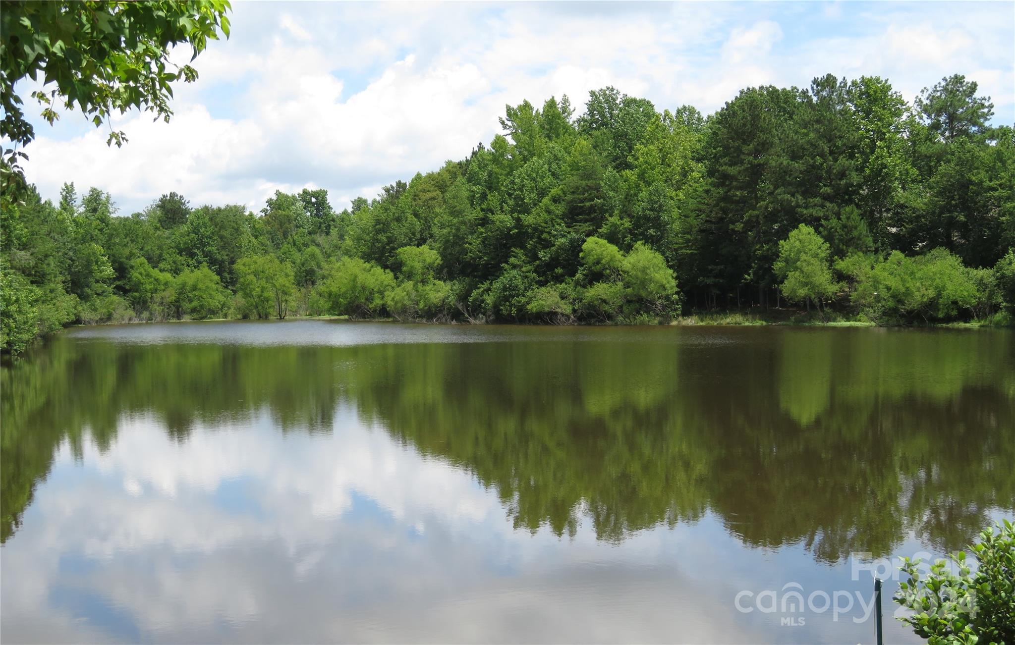 Mill Creek Falls - Residential