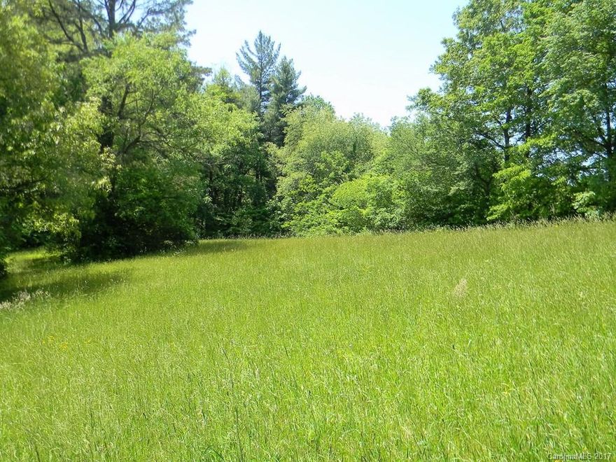 Great lot for a dream home.  Level almost one acre with view of Cold Mountain and Mount Pisgah.  Wonderful neighborhood with easy access.  Completely level lot.  Adjoining back lot available.  .79 acres.  There will be restrictions.