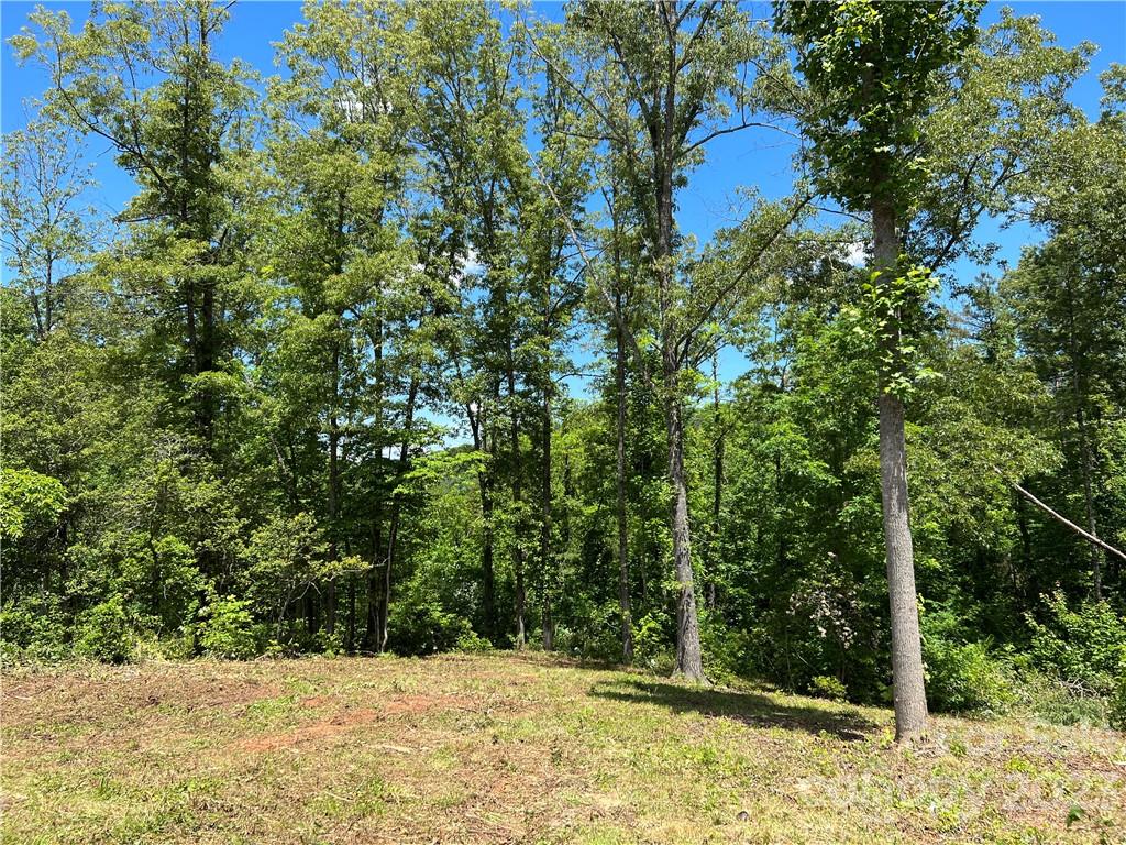 Cullowhee River Club - Land