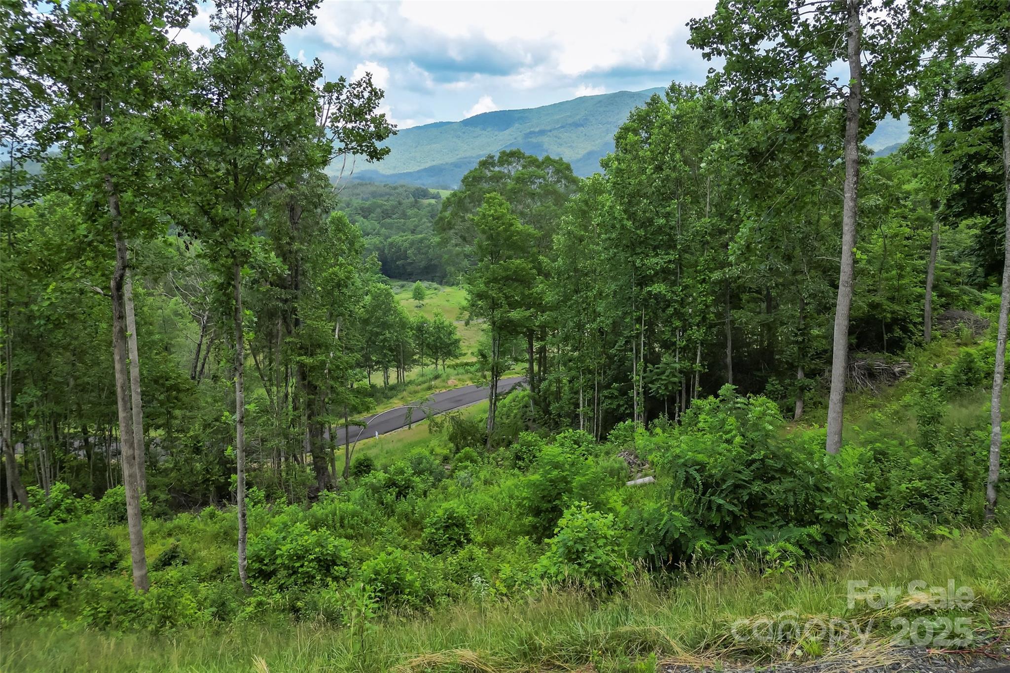 0 Summit View Parkway