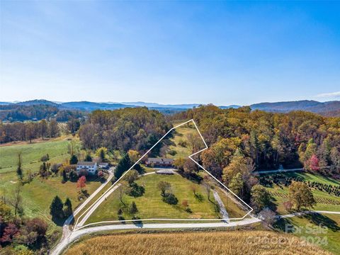 A home in Hendersonville