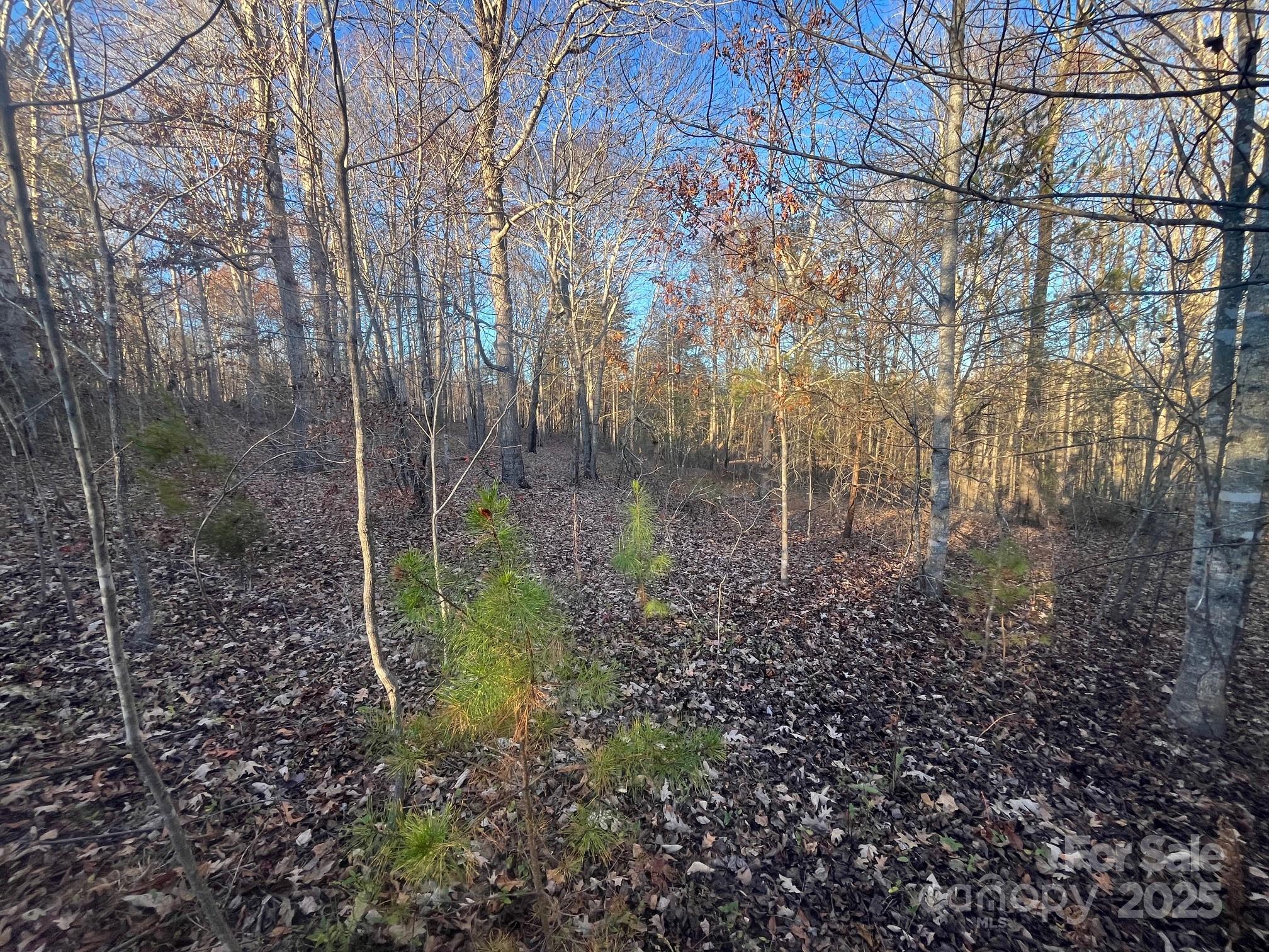 000000 Pinnacle Church Road