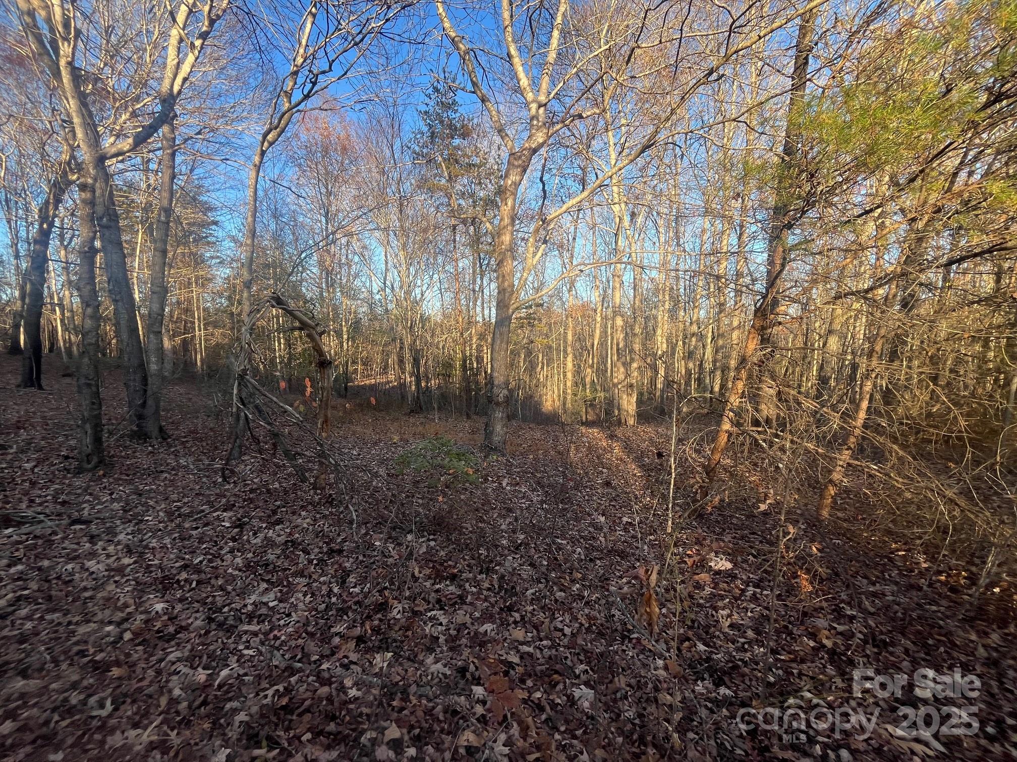 000000 Pinnacle Church Road