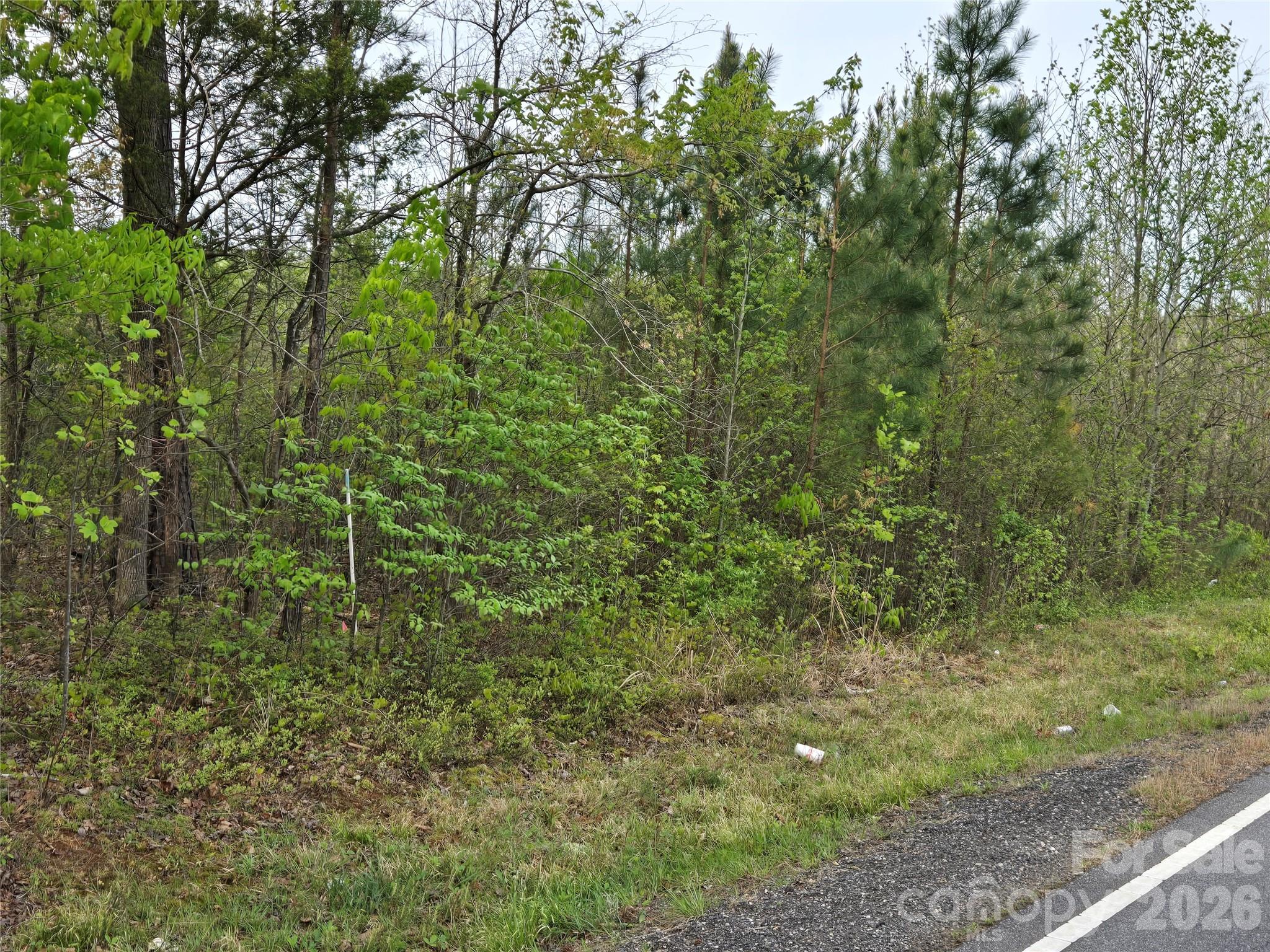 3121 Cold Springs Road S